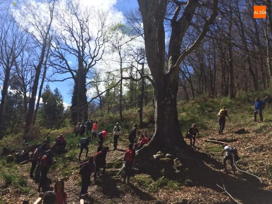 Foto 6 - Un centenar de senderistas inauguran &lsquo;Naturaleza Escondida&rsquo;