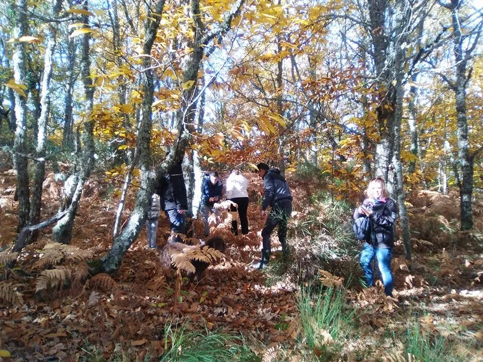 Senderistas en La Honfría