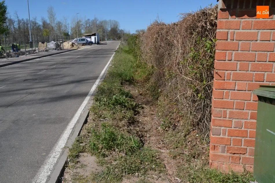 Trozo de cuneta que queda por limpiar