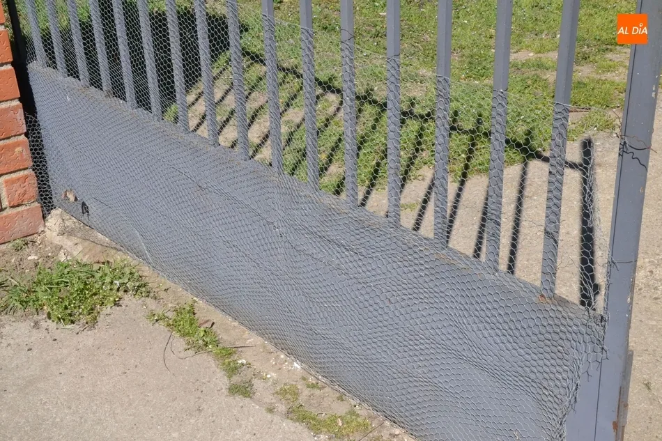 Foto 10 - Quejas por los restos fecales acumulados en la cuneta de la Avenida de La Concha  