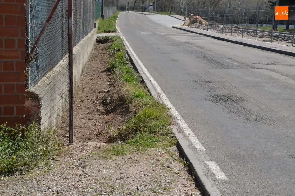 Foto 5 - Quejas por los restos fecales acumulados en la cuneta de la Avenida de La Concha  