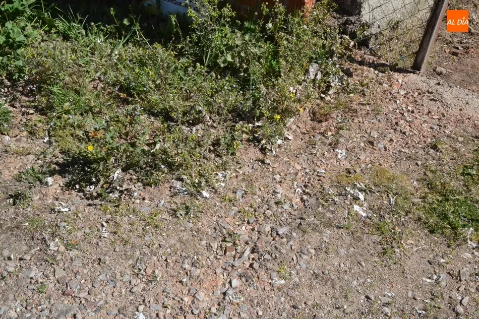 Foto 8 - Quejas por los restos fecales acumulados en la cuneta de la Avenida de La Concha  