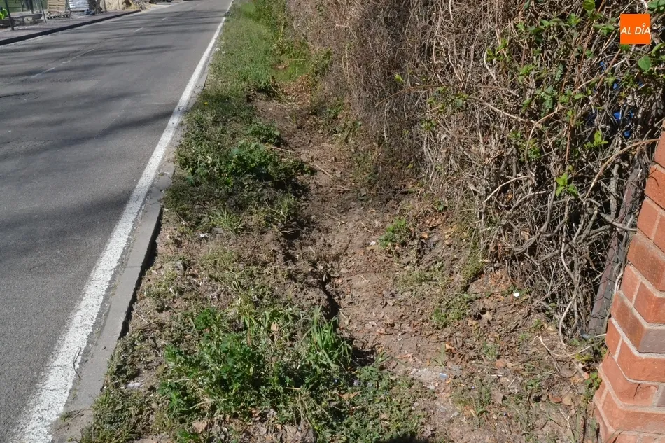 Foto 3 - Quejas por los restos fecales acumulados en la cuneta de la Avenida de La Concha  