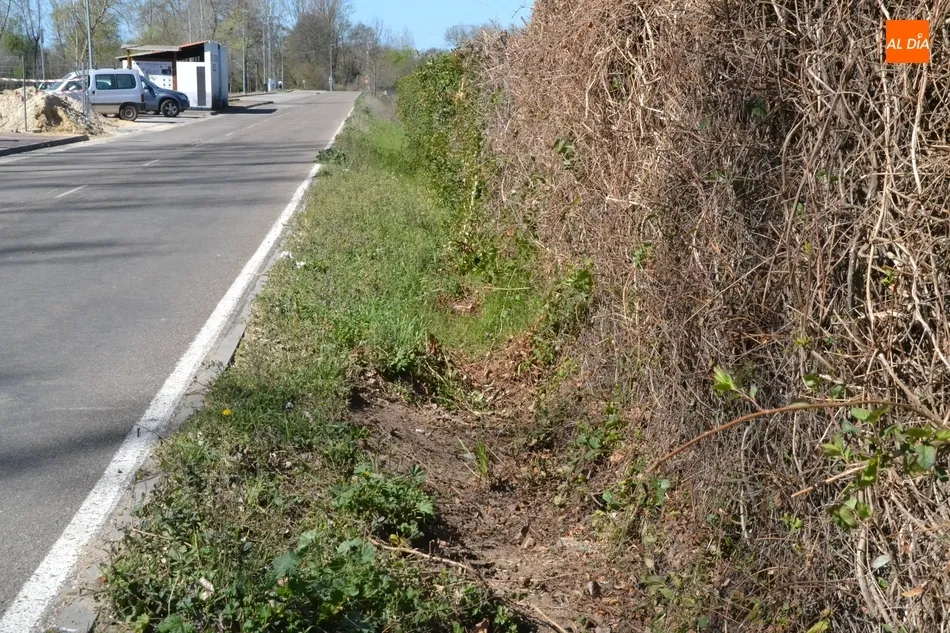 Foto 2 - Quejas por los restos fecales acumulados en la cuneta de la Avenida de La Concha  