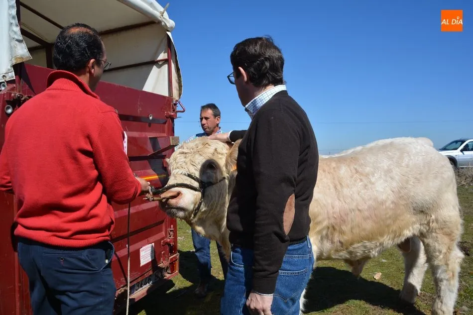 Foto 4 - Ma&ntilde;ueco propone&nbsp;mejorar la sanidad animal &ldquo;siendo flexibles y tendiendo la mano a los...