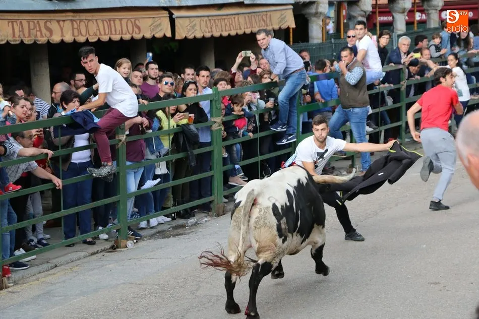 Los festejos comenzarán el 15 de junio con el pre-Corpus y el V toro de Cajón / CORRAL