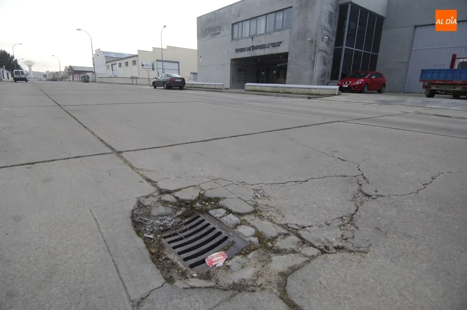 Foto 6 - Los industriales del Pol&iacute;gono Las Vi&ntilde;as reclaman actuaciones urgentes al Ayuntamiento  