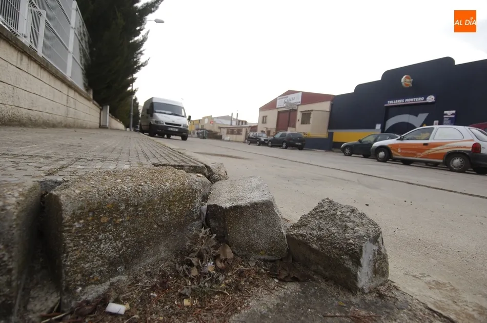 Foto 4 - Los industriales del Pol&iacute;gono Las Vi&ntilde;as reclaman actuaciones urgentes al Ayuntamiento  