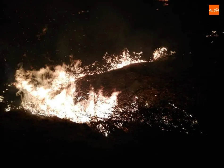 Foto 3 - Sofocado un incendio forestal cerca de San Esteban de la Sierra