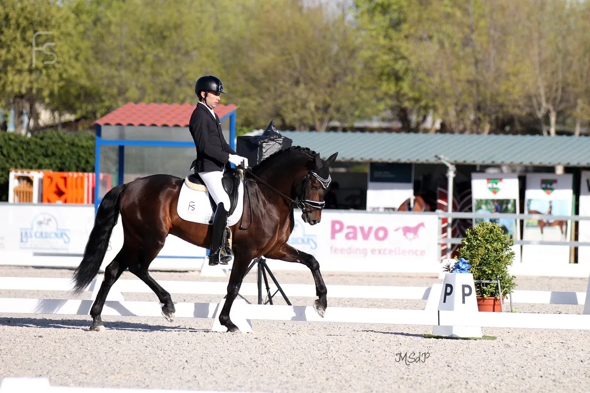 El salmantino Alberto García-Briñón logra cuatro medallas en el Internacional