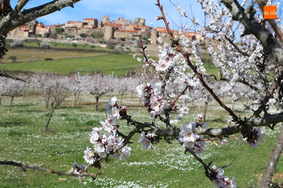 Foto 10 - Castelo Rodrigo, s&iacute;mbolo de primavera y de Historia ib&eacute;rica  