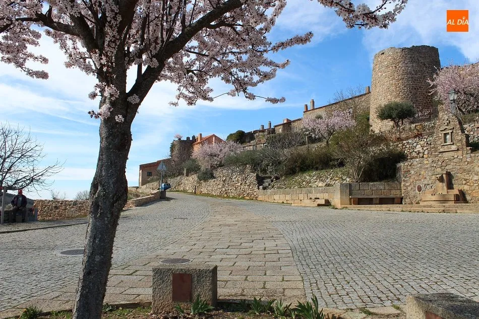 Foto 9 - Castelo Rodrigo, s&iacute;mbolo de primavera y de Historia ib&eacute;rica  