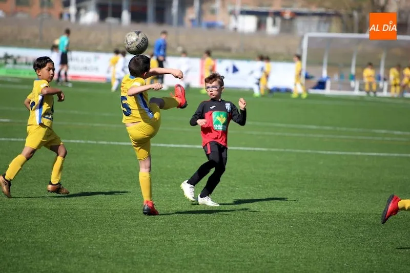Foto 9 - Resultados, clasificaciones e im&aacute;genes del f&uacute;tbol base provincial