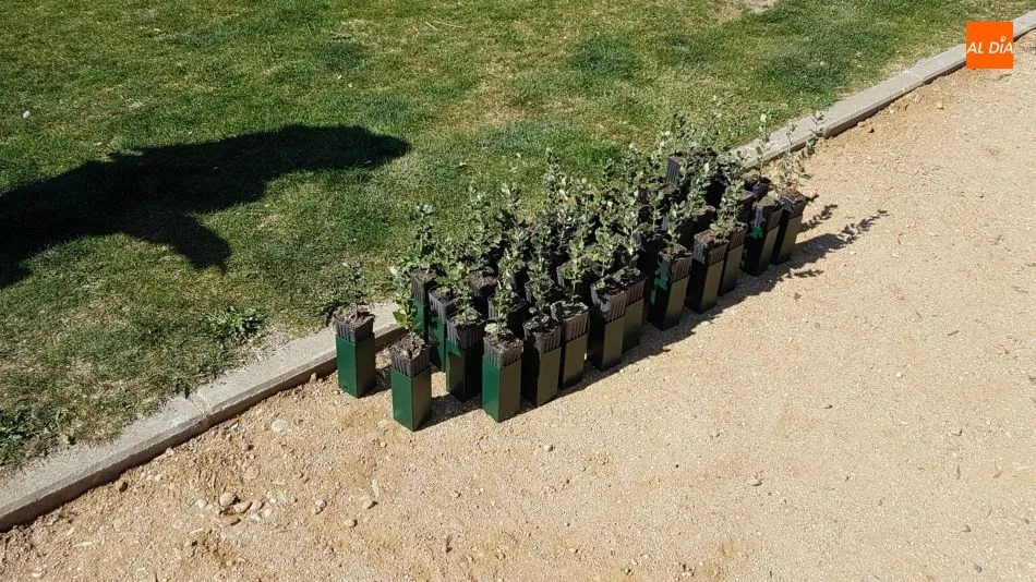 Foto 4 - La F&aacute;brica de la Luz de Tejares se convertir&aacute; en un espacio de difusi&oacute;n del Tormes&nbsp;con...