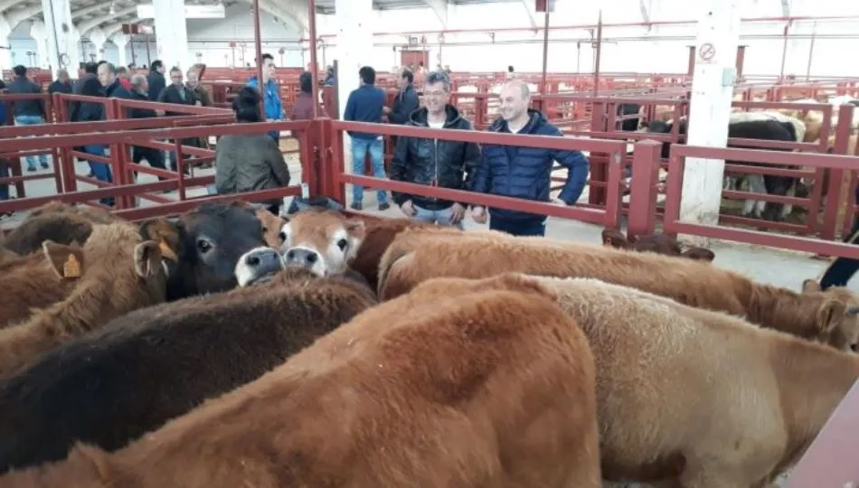 Visita de David Castaño y Manuel Hernández al mercado