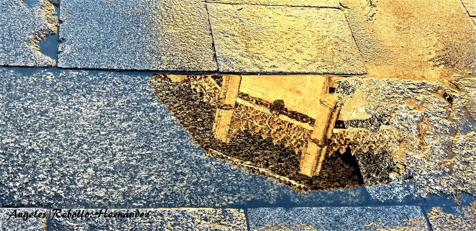 La belleza en el suelo