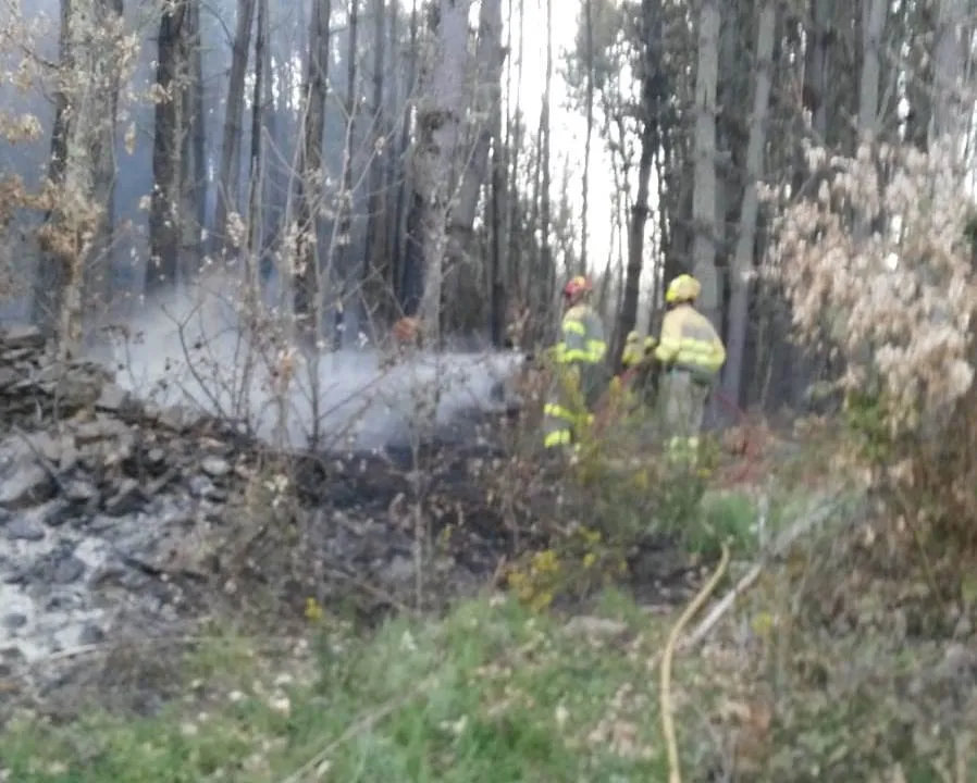 Foto 7 - Navasfr&iacute;as sufre un incendio forestal  