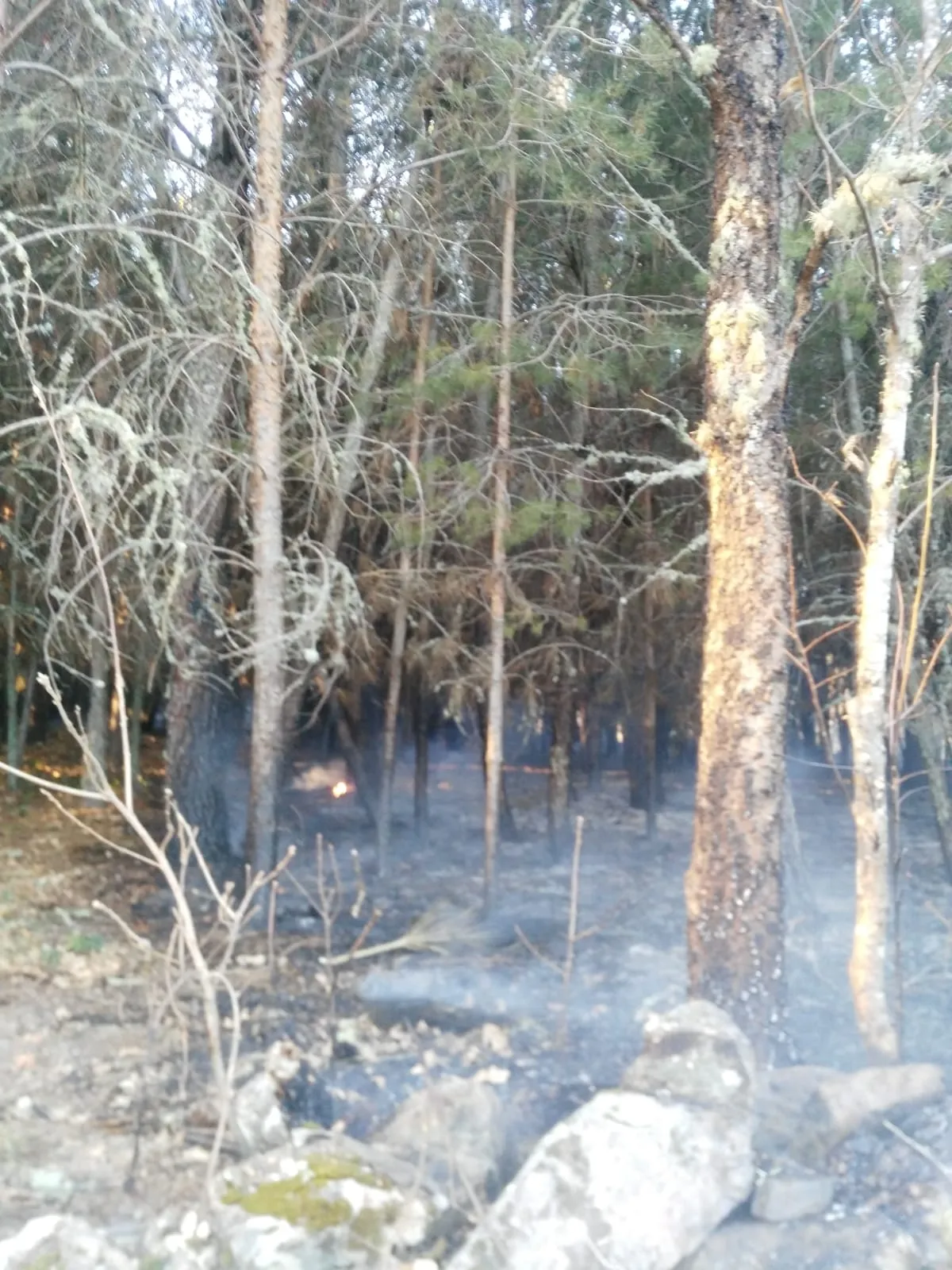 Foto 5 - Navasfr&iacute;as sufre un incendio forestal  