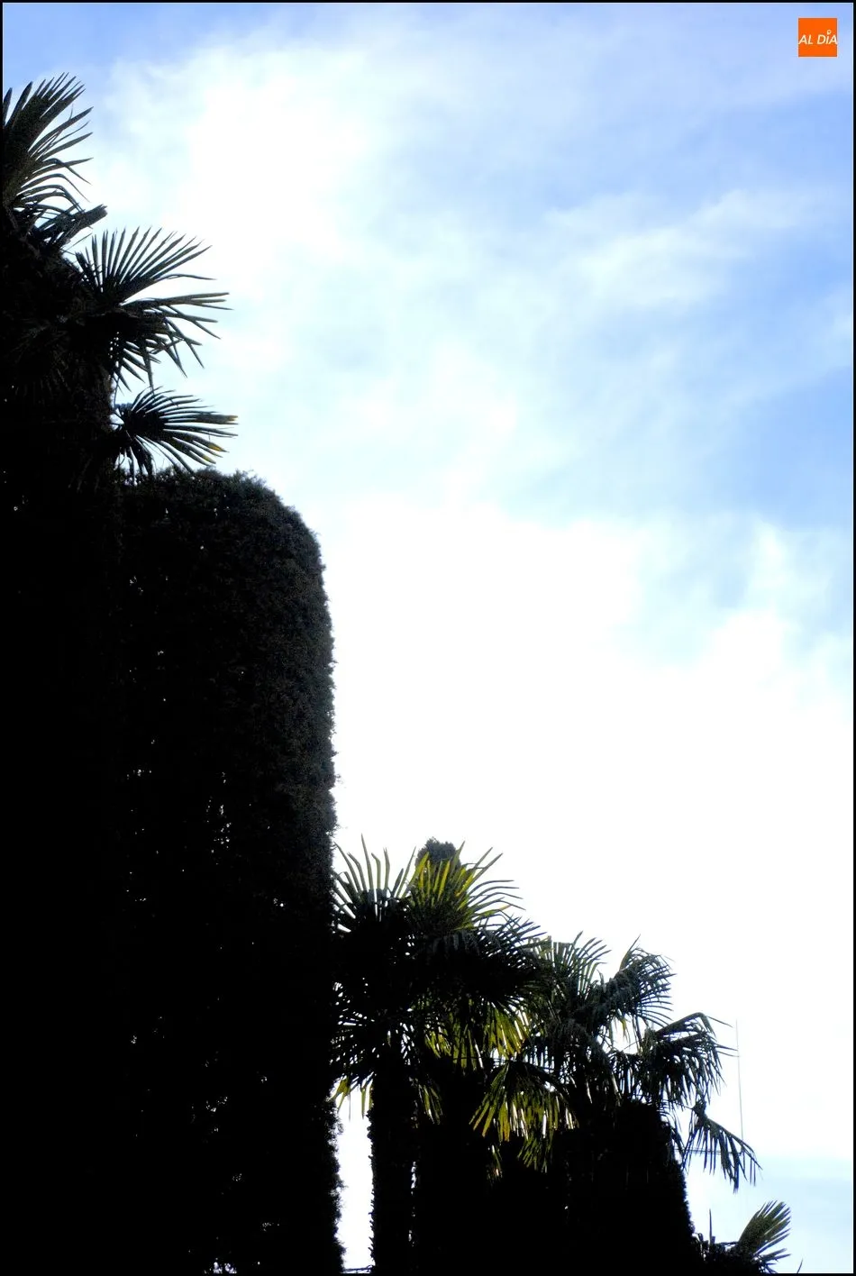 Foto 9 - La plaza de la Libertad