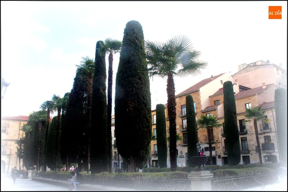 Foto 6 - La plaza de la Libertad
