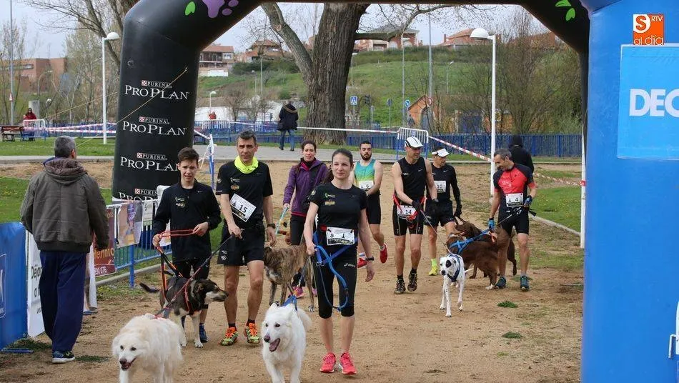 Celebración de un canicross en Salamanca