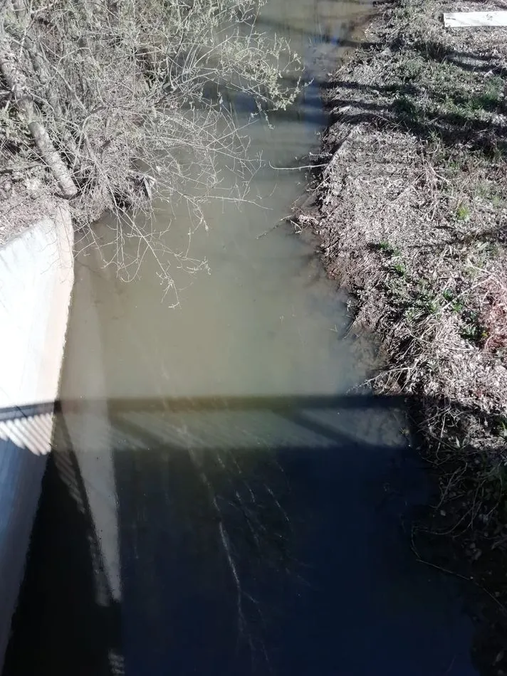 Foto 5 - Denuncian un nuevo vertido en las aguas del Tormes, a la altura de La Fontana