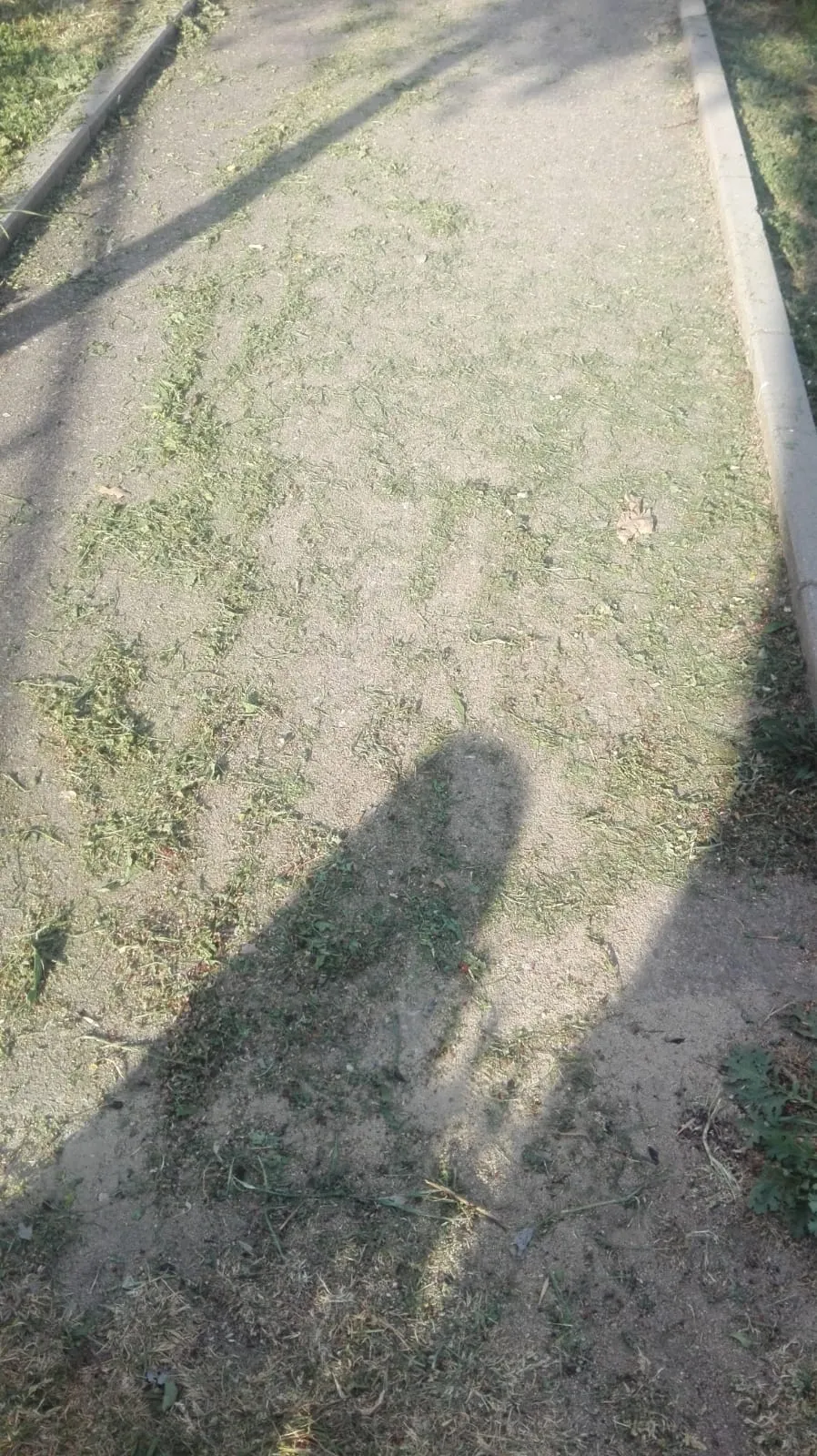 Foto 2 - Precintados por motivos de seguridad varios juegos en el Parque del Valle de San Mart&iacute;n  