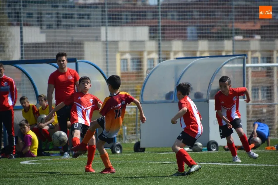 Foto 7 - Resultados, clasificaciones e im&aacute;genes del f&uacute;tbol base provincial