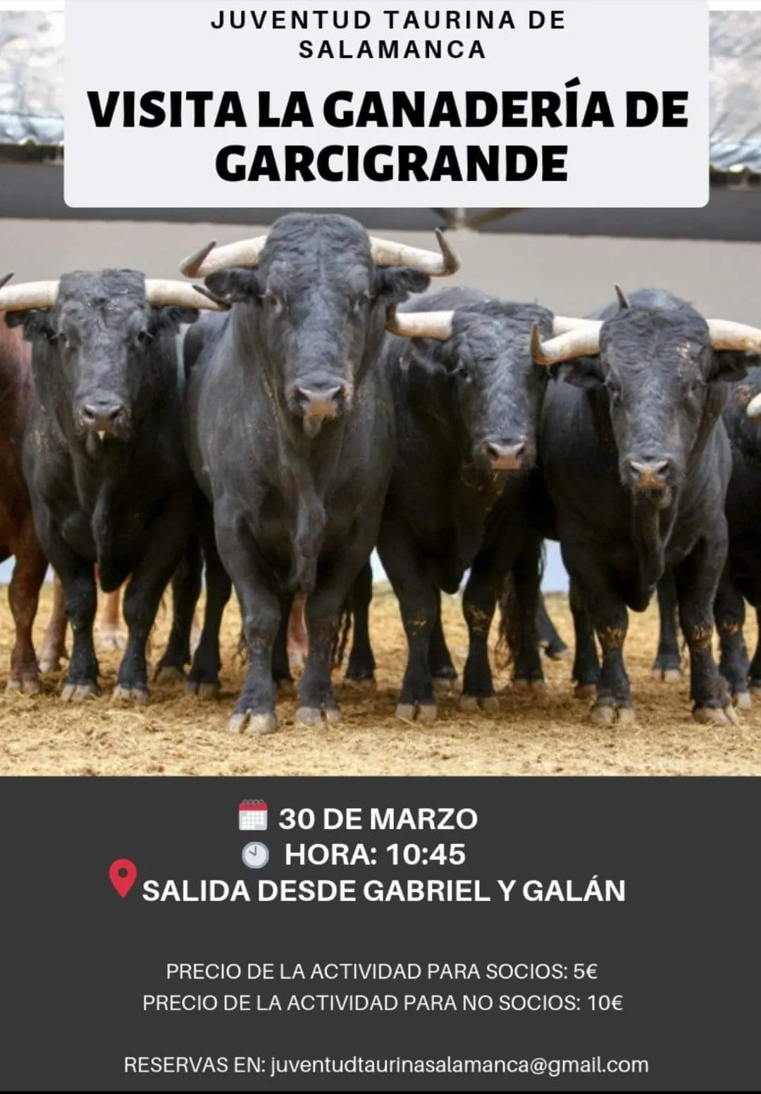 Foto 2 - M&aacute;s de 150 socios de Juventud Taurina Salamanca disfrutan de la ganader&iacute;a de Garcigrande