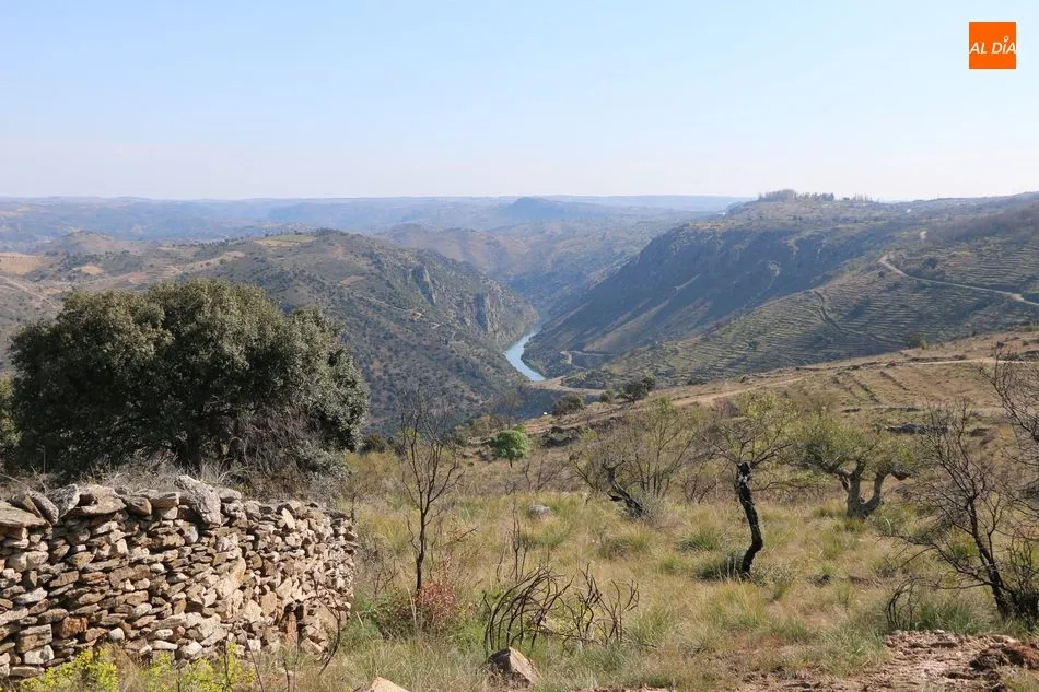Foto 8 - La Ruta &lsquo;El Balc&oacute;n de las Arribes&rsquo; cautiva en Pere&ntilde;a a cerca de 150 senderistas  