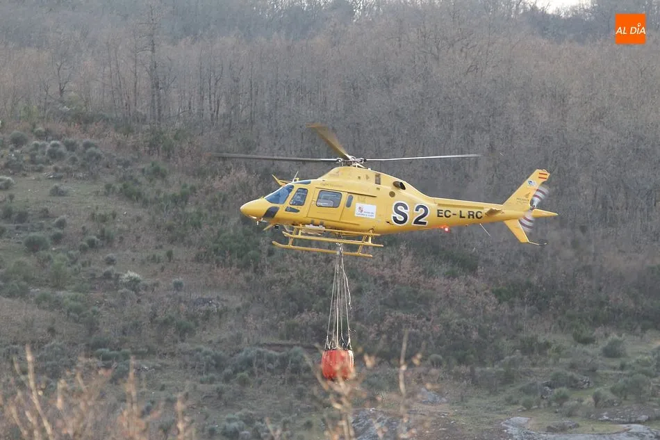 Foto 11 - Extinguido un incendio forestal en las inmediaciones de El Tornadizo