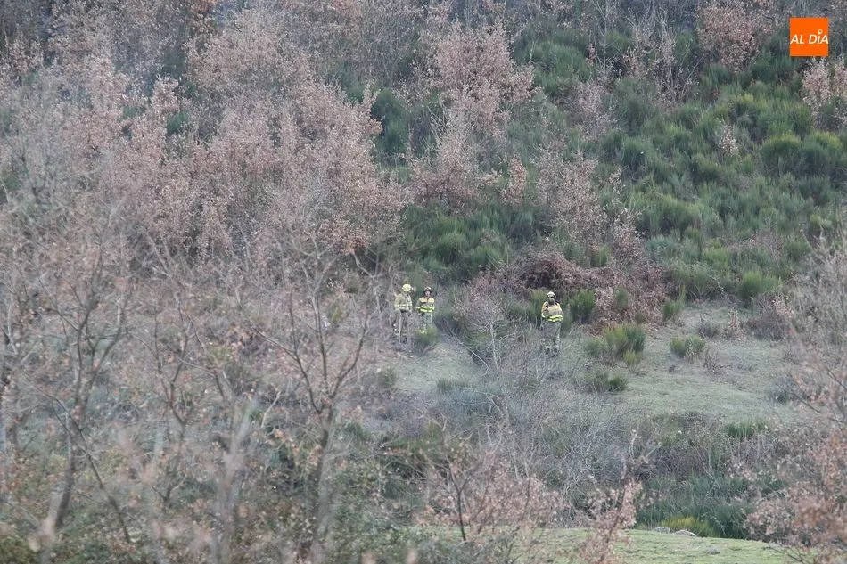 Foto 10 - Extinguido un incendio forestal en las inmediaciones de El Tornadizo