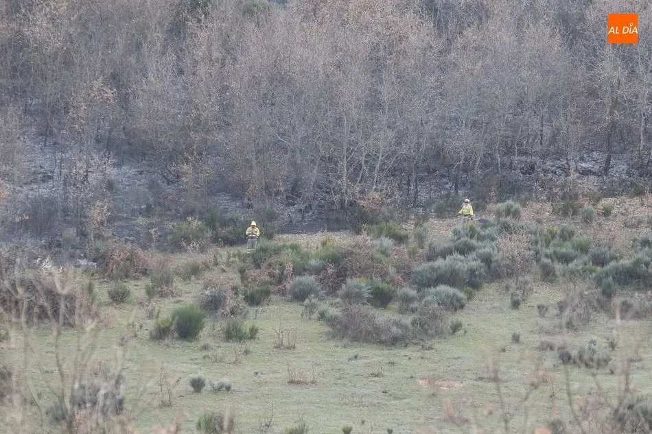 Foto 7 - Extinguido un incendio forestal en las inmediaciones de El Tornadizo