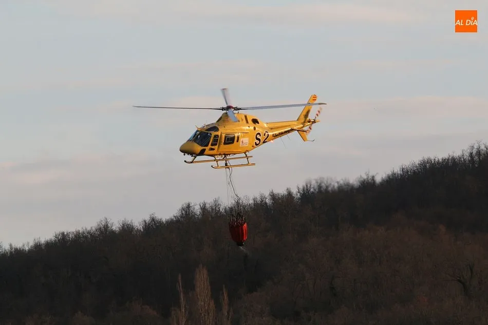 Foto 5 - Extinguido un incendio forestal en las inmediaciones de El Tornadizo