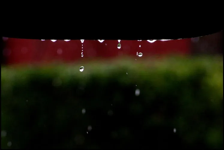 Foto 8 - Po&eacute;tica de la lluvia en primavera