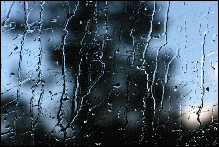 Foto 11 - Po&eacute;tica de la lluvia en primavera