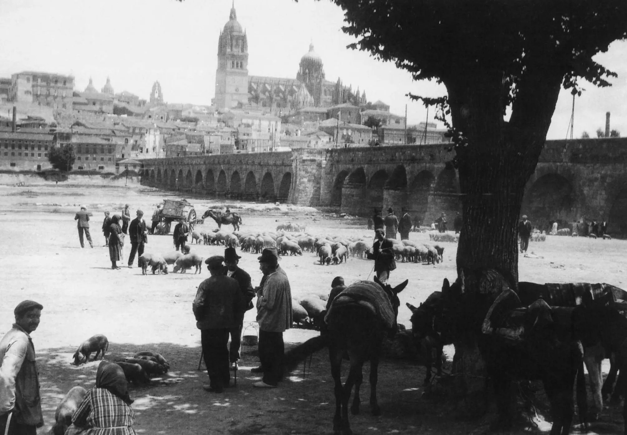 Foto 4 - Salamanca en la primera mitad del XX a trav&eacute;s de las im&aacute;genes de C&aacute;ndido Ansede