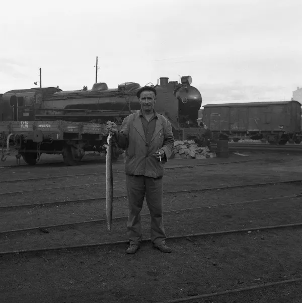 Foto 3 - La llegada del ferrocarril a finales del XIX