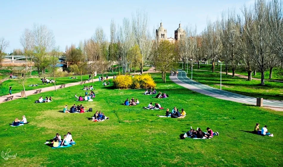 Esplendor en la hierba