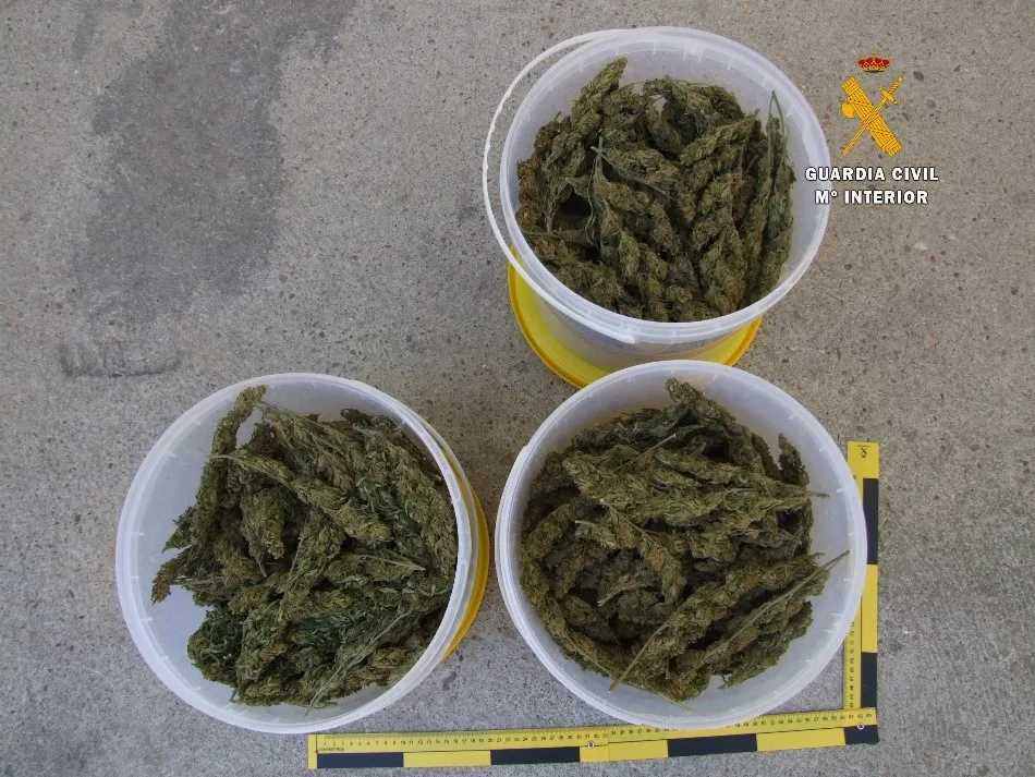 Foto 2 - Dos arrestados en Ciudad Rodrigo por vender droga a los alumnos de un instituto