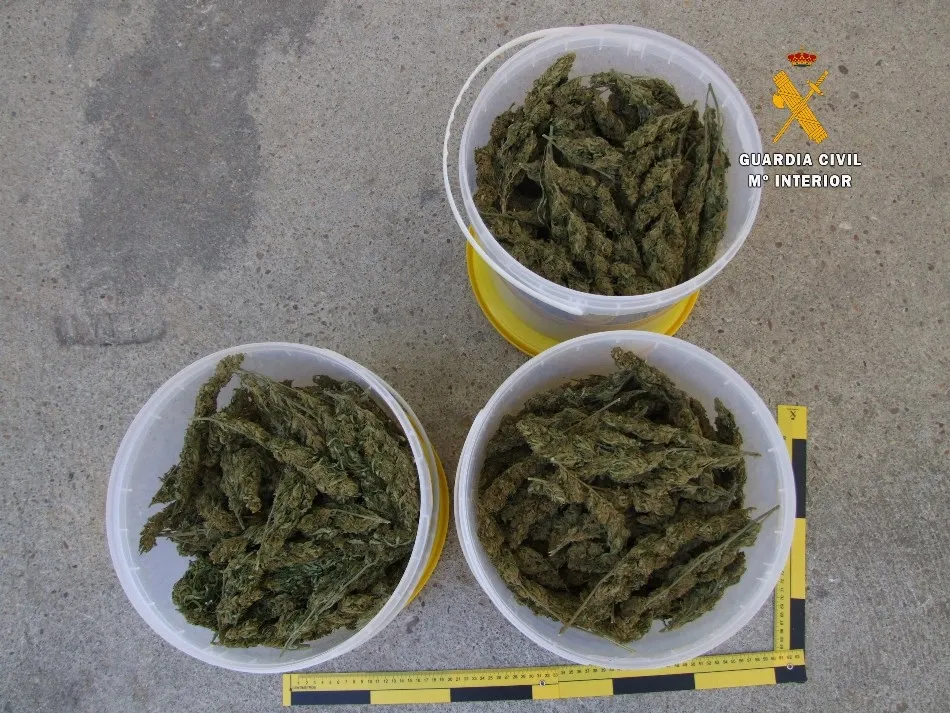 Detenido un ciudadano francés en Fuentes de Oñoro con 1,8 kilos de marihuana en su poder  