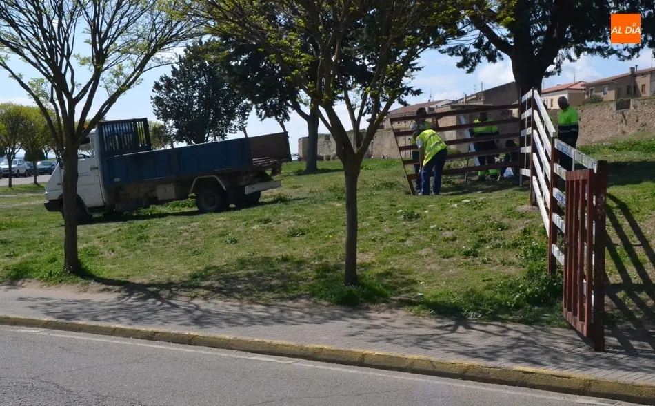 Foto 9 - Adi&oacute;s a las pen&uacute;ltimas agujas carnavaleras  