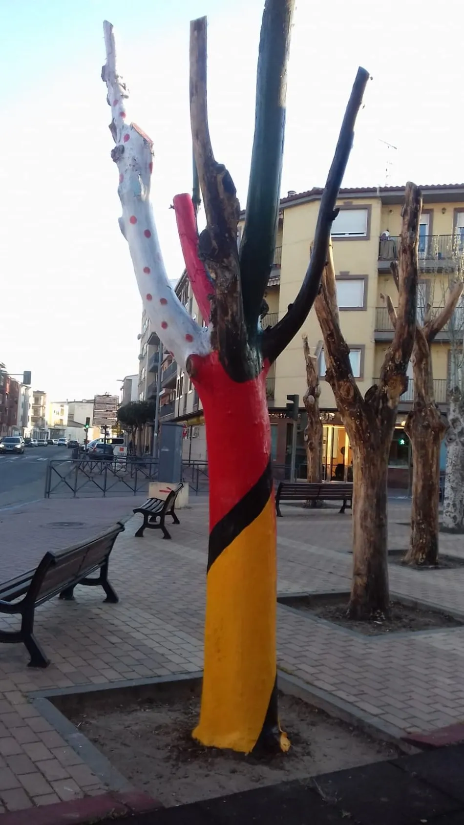 Foto 2 - Inician una recogida de firmas para sustituir los &aacute;rboles pintados en el parque El Candil