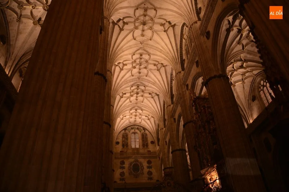 Foto 11 - Iberdrola inaugura la iluminaci&oacute;n ornamental interior de la Catedral Nueva de Salamanca  