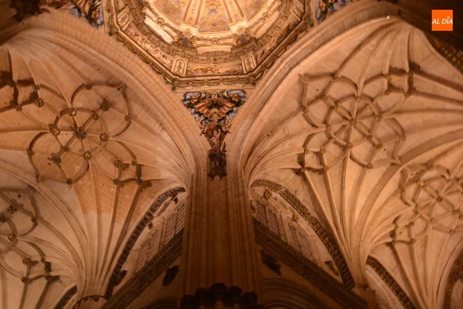Foto 10 - Iberdrola inaugura la iluminaci&oacute;n ornamental interior de la Catedral Nueva de Salamanca  