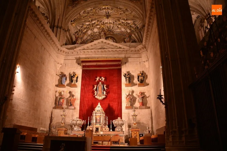 Foto 4 - Iberdrola inaugura la iluminaci&oacute;n ornamental interior de la Catedral Nueva de Salamanca  