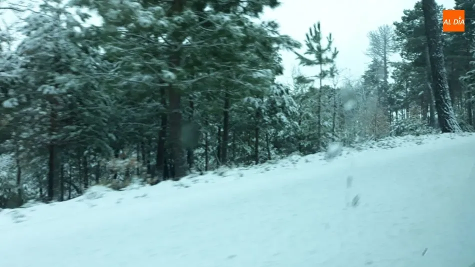Foto 4 - Una gran nevada cubre de blanco la Sierra de Francia