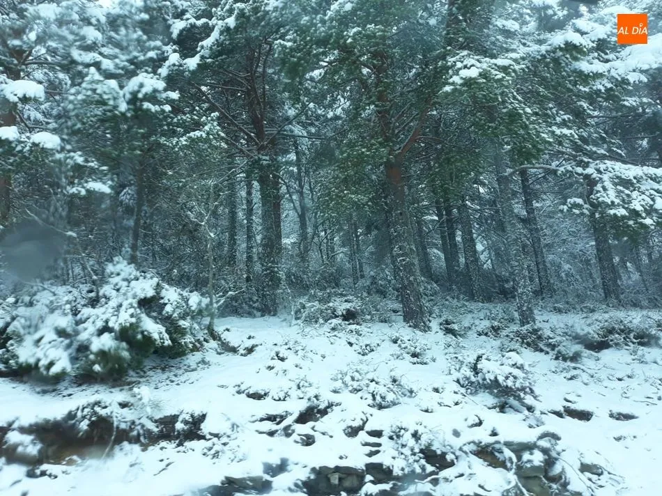 Foto 5 - Una gran nevada cubre de blanco la Sierra de Francia