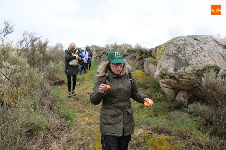 Foto 11 - Cerca de 400 valientes recorren la Ruta de Mieza para conocer el mayor bosque de almez de Europa  
