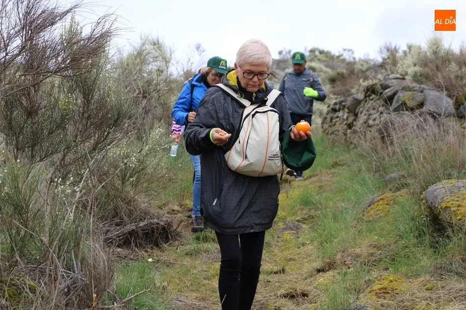 Foto 10 - Cerca de 400 valientes recorren la Ruta de Mieza para conocer el mayor bosque de almez de Europa  